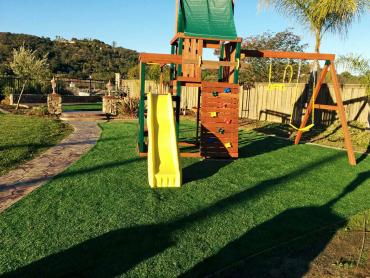 Artificial Grass Photos: Artificial Pet Grass Burbank California Landscape